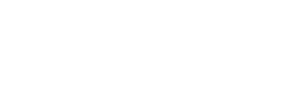 Timeline_blanc