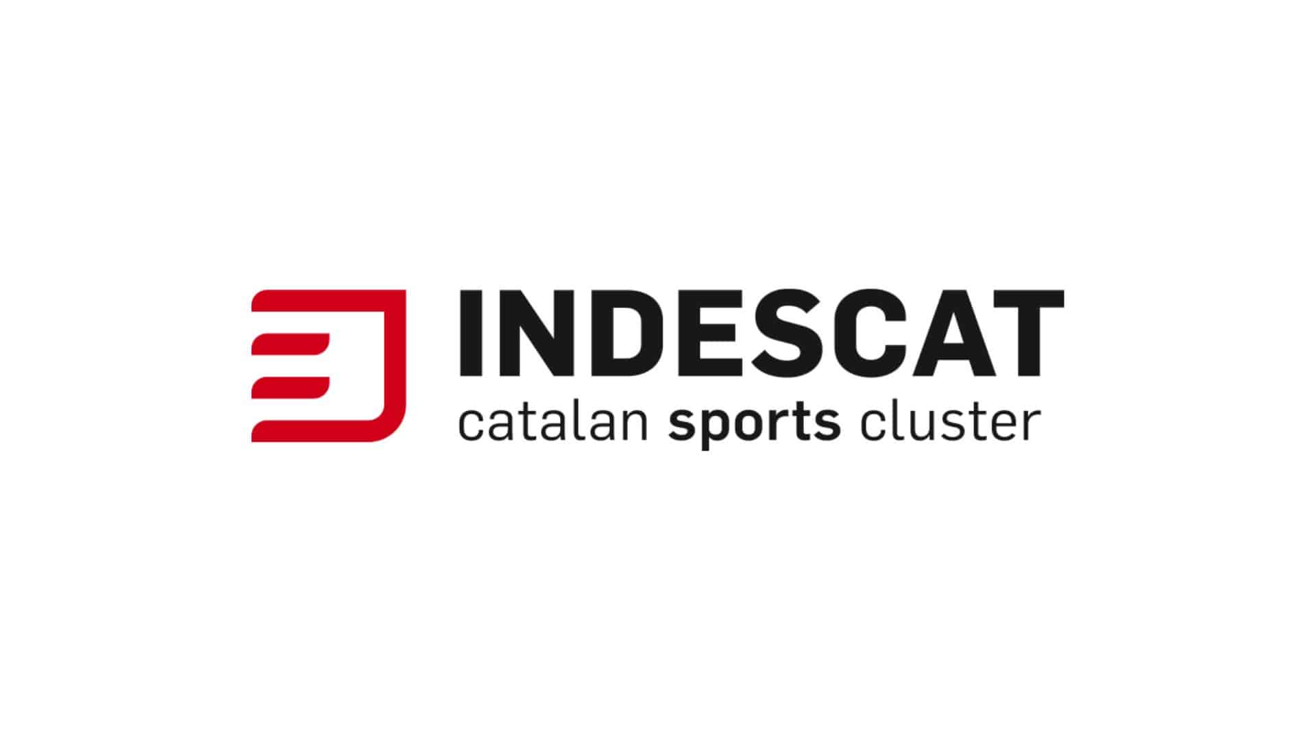 Logotip d' INDESCAT amb el text 